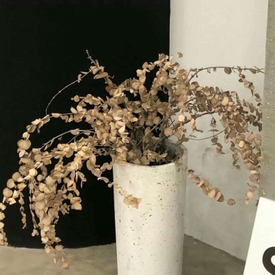 Furry插画细节设计兽圈群